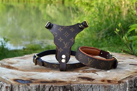 louis vuitton pet harness|louis vuitton dog collar sizes.